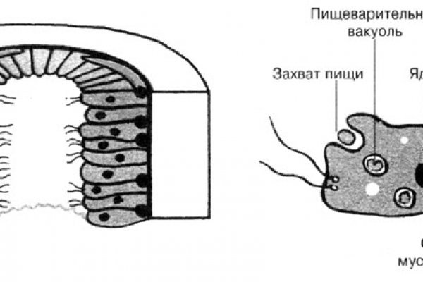 Кракен сайт продаж