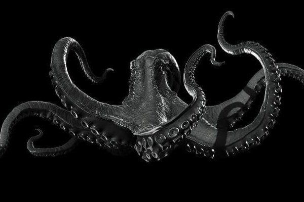 Kraken 20at
