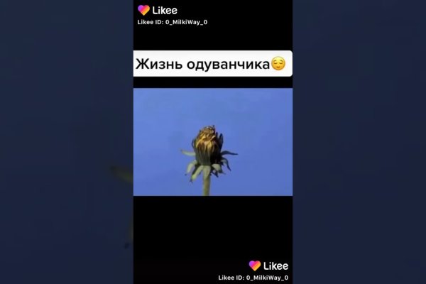 Официальный сайт даркнет