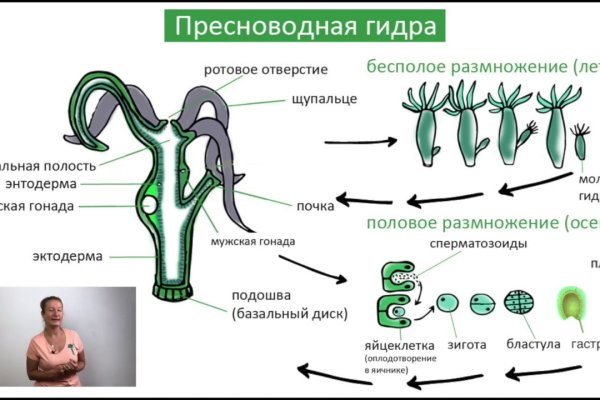 Как найти сайт кракен