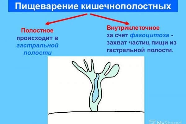 Kraken в россии