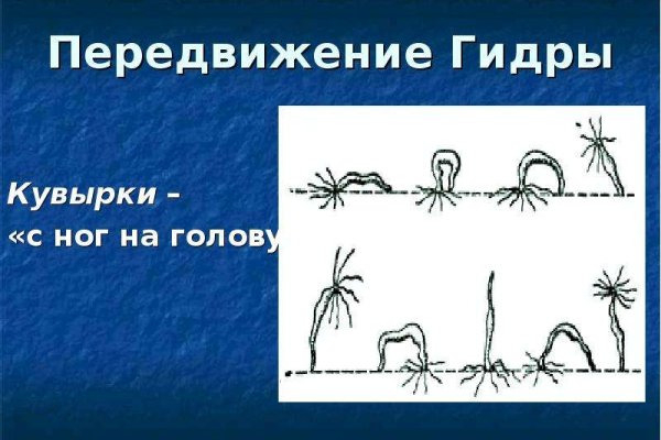 Кракен маркет дарнет только через тор