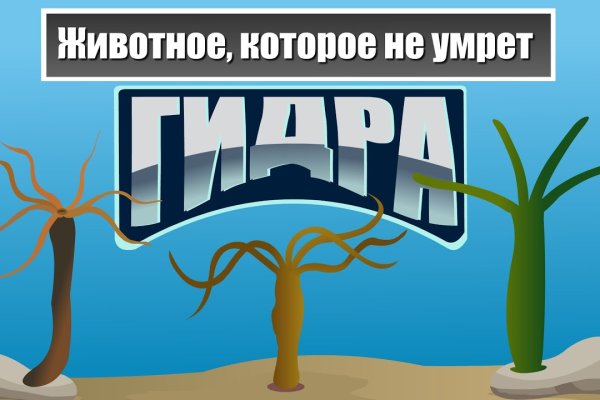 Кракен маркет даркнет только через торг