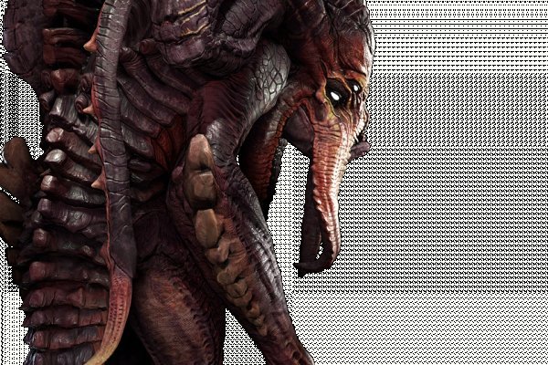 Kraken 24 at