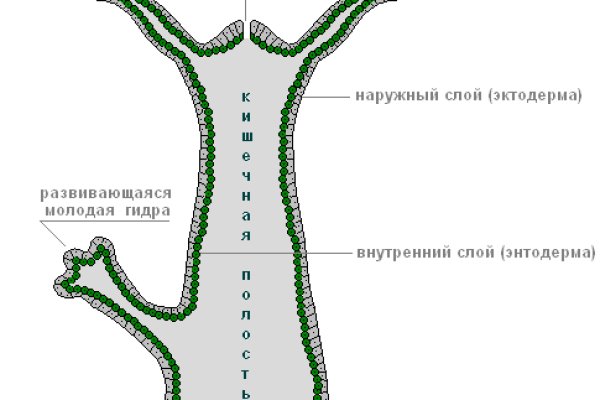 Как восстановить страницу на кракене