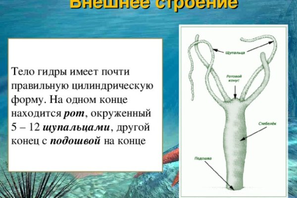Кракен даркнет регистрация