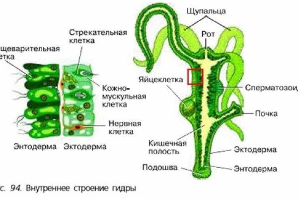 Как зайти на кракен
