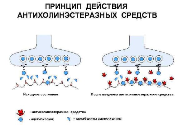 Кракен маркетплейс создатель