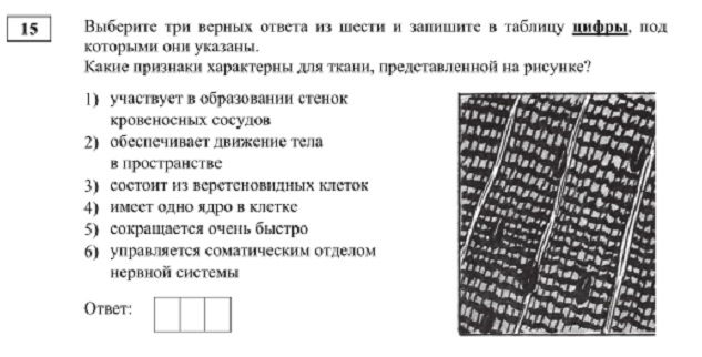 Браузер для кракен